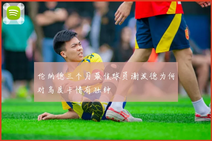 伦纳德三个月最佳球员谢泼德为何对乌度卡情有独钟