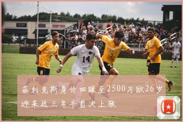 菲利克斯身价回暖至2500万欧26岁迎来近三年半首次上涨