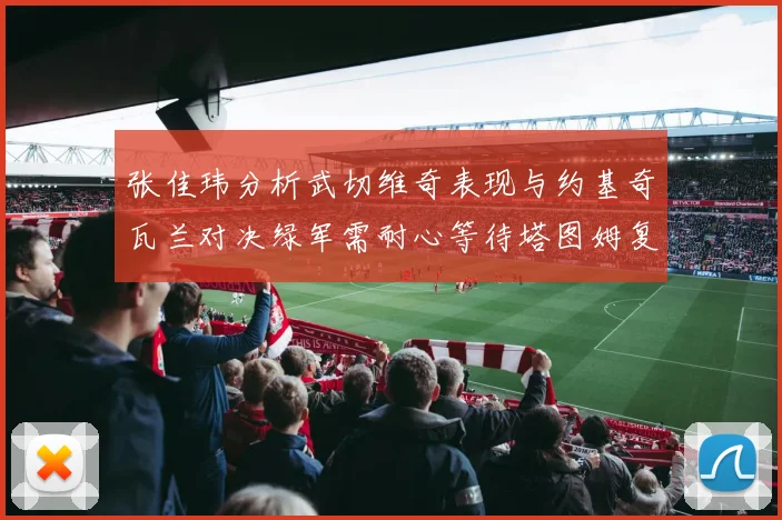 张佳玮分析武切维奇表现与约基奇瓦兰对决绿军需耐心等待塔图姆复出