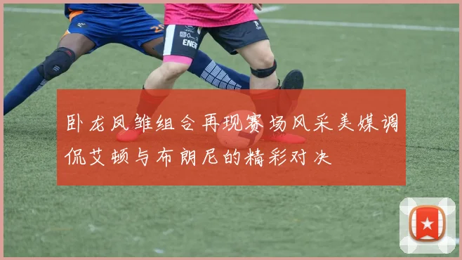 卧龙凤雏组合再现赛场风采美媒调侃艾顿与布朗尼的精彩对决