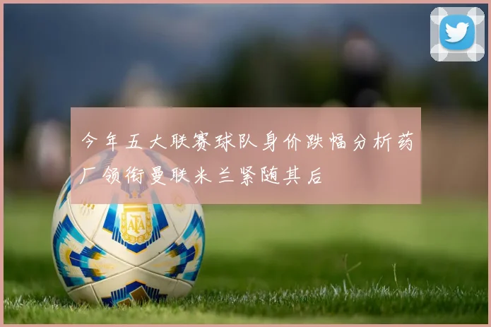 今年五大联赛球队身价跌幅分析药厂领衔曼联米兰紧随其后
